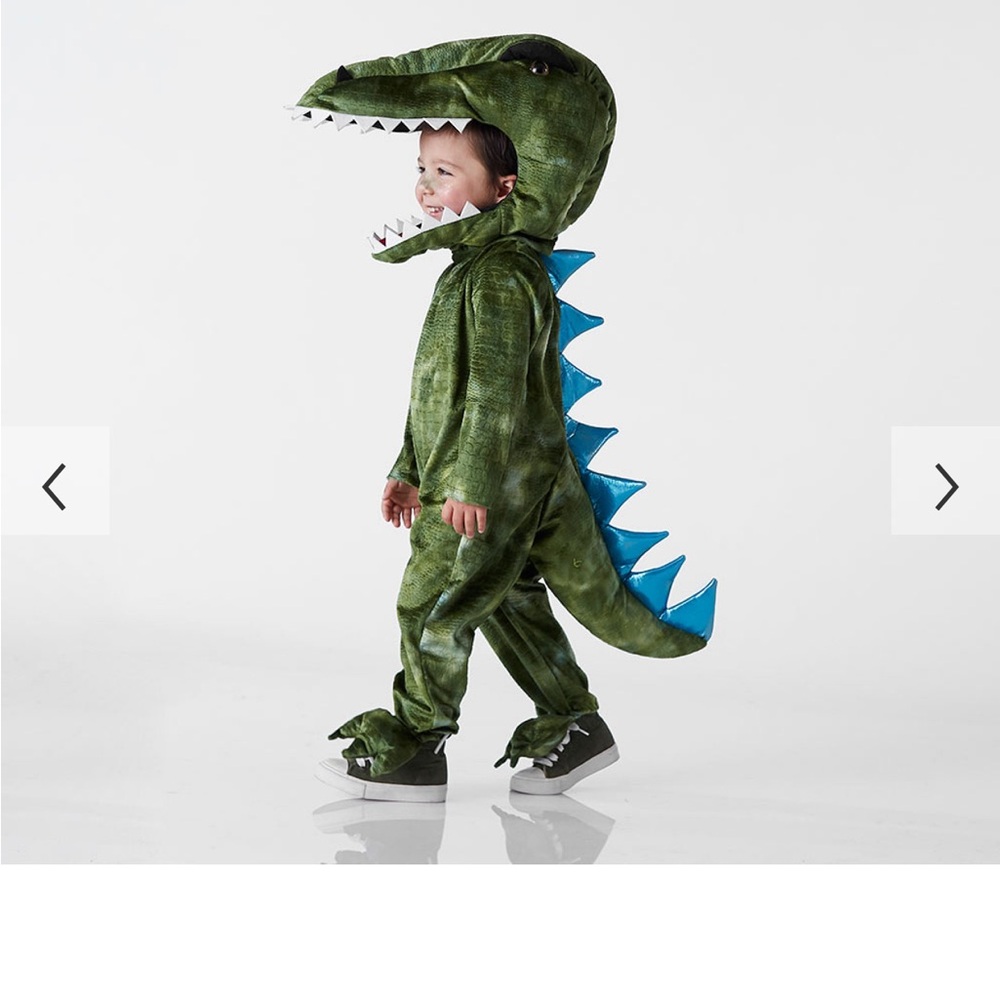 Pottery Barn Kids - Light Up T-Rex Costume - 3T - Green